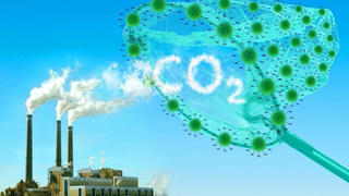 Muốn phát thải ròng bằng '0', phải định giá carbon 