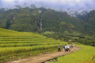 Mùa lúa vàng tuyệt đẹp ở Y Tý