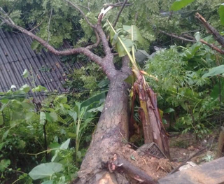 Thiệt hại 1,3 tỷ do mưa lớn kéo dài trong 3 ngày