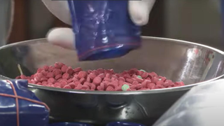 Bắt giữ đối tượng vận chuyển 60 nghìn viên ma túy tổng hợp 