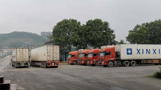 Trung Quốc chính thức khôi phục nhập khẩu thanh long qua cửa khẩu Lào Cai