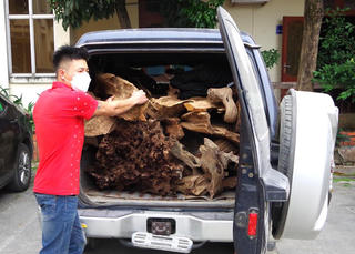 Bắt quả tang xe 7 chỗ vận chuyển lâm sản trái phép