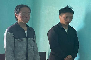 3 anh em ruột bị khởi tố vì chặt hạ trái phép 2 cây gỗ nghiến cổ thụ