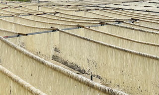 'Bí quyết' nào giúp mì gạo Hùng Lô vươn tới hơn 40 tỉnh thành, sang cả Nhật?