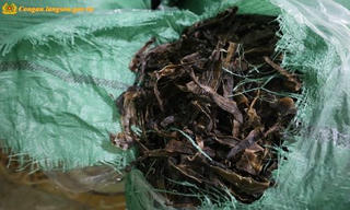 Lạng Sơn: Thu giữ 1,3 tấn giun đất khô không rõ nguồn gốc