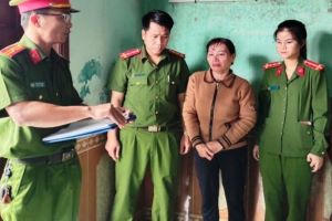 Lừa đảo chiếm đoạt tài sản dưới hình thức biêu hụi