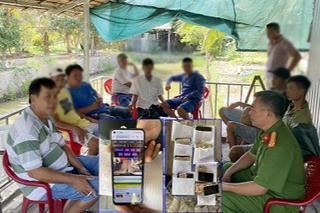 Trà Vinh: Triệt xóa tụ điểm đá gà qua mạng giao dịch hàng trăm triệu đồng