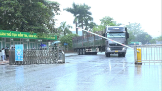 Hà Giang: Doanh nghiệp xuất khẩu hàng nông sản “kiêu trời” vì chậm thông quan