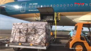 Trang thiết bị y tế chống dịch Covid-19 từ Singapore về đến Việt Nam