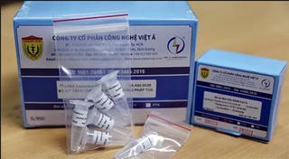 Phê duyệt việc thanh tra mua kit xét nghiệm tại Bộ Y tế, Hà Nội và TP.HCM