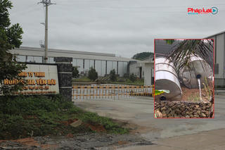 Nghi vấn công ty Hoàng Gia Yên Bái đổ hóa chất trực tiếp ra môi trường, bốc mùi khó chịu