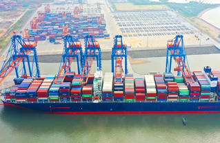 Lô hàng 100 container điều xuất khẩu đứng trước nguy cơ mất trắng: “Cần đưa vụ việc lên toà án quốc tế”