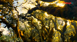  Giải leo núi “Bước chân trên mây” mùa II: Thử thách chinh phục đỉnh Tà Xùa chờ đón các vận động viên