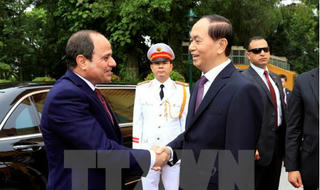 Việt Nam mong muốn thúc đẩy đà phát triển theo hướng thực chất, hiệu quả với Ai Cập