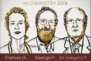 3 nhà khoa học Mỹ, Anh nhận giải Nobel Hóa học 2018
