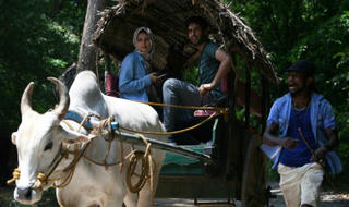 Hai Thủ tướng tranh quyền, kinh tế Sri Lanka nguy cơ 'lãnh đủ'