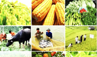 Quốc hội thông qua Luật Trồng trọt và Luật Chăn nuôi
