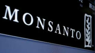 Tòa Pháp hủy giấy phép của thuốc diệt cỏ Monsanto vì lý do an toàn 