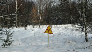 Cháy lớn ở khu 'chết chóc' nhà máy hạt nhân Chernobyl