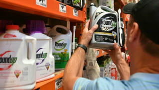 Monsanto bị buộc bồi thường 2 tỉ USD vì thuốc diệt cỏ Roundup