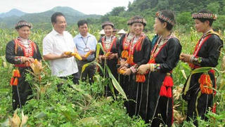 Năm 2025, tăng ít nhất 2,5 lần thu nhập bình quân của đồng bào dân tộc thiểu số