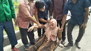 Ít nhất 20 người thiệt mạng, 100 người bị thương do động đất tại Indonesia