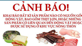 Hai người Việt bị hủy thị thực nhập cảnh Australia do vi phạm quy định an ninh sinh học 