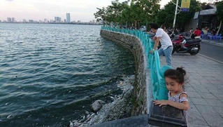 Hà Nội sẽ công khai kết luận thanh tra về chế phẩm Redoxy 3C 