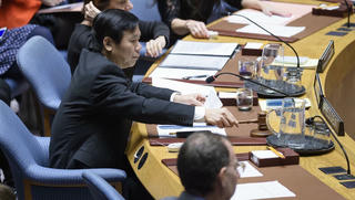 Việt Nam chủ trì Phiên họp của HĐBA LHQ về Trung Đông, bao gồm Palestine