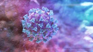 Nga lên tiếng về tin đồn virus corona chủng mới do phòng thí nghiệm Vũ Hán tạo ra