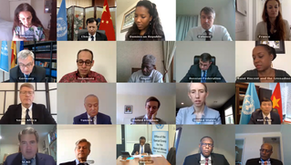 Việt Nam kêu gọi Sudan, Nam Sudan tăng cường phối hợp với UNISFA ứng phó với Covid-19