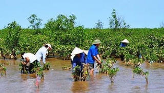 WB phê duyệt khoản vay mới hỗ trợ Việt Nam ứng phó biến đổi khí hậu