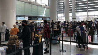 Đưa thêm hơn 280 công dân Việt Nam từ Mỹ về nước