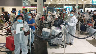 Đưa hơn 260 công dân Việt Nam từ UAE về nước