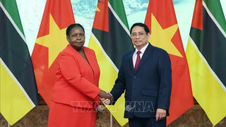Quyết tâm nâng cao hơn nữa kim ngạch thương mại Việt Nam - Mozambique