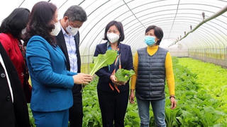 Bà Đặng Thị Cuối - Công dân Thủ đô ưu tú năm 2022 "đổi đời" nhờ rau sạch