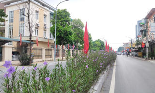 Hà Nội: Xây dựng nông thôn mới từ những “tuyến đường nở hoa”