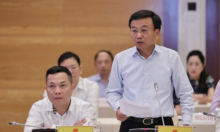 Chuyển hồ sơ thuế của Công ty Thành Bưởi sang cơ quan Công an để điều tra