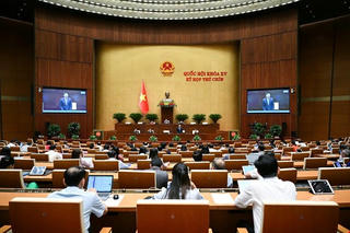 Việt Nam với việc đảm bảo quyền không bị tra tấn hoặc đối xử, trừng phạt tàn bạo, vô nhân đạo hay hạ nhục con người