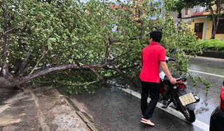 2 phụ nữ Quảng Bình bị thương nặng do ảnh hưởng bão số 5