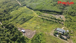 Vụ trang trại rộng gần 250ha chỉ nuôi vài con bò ở Quảng Bình: Tỉnh yêu cầu xử lý quyết liệt