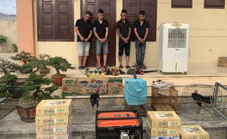 Liên tiếp phá 2 chuyên án, bắt giữ 5 ‘đạo chích’ gây ra hàng chục vụ trộm