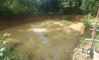 Cháu bé 10 tuổi tại Quảng Bình tử vong dưới ao cá