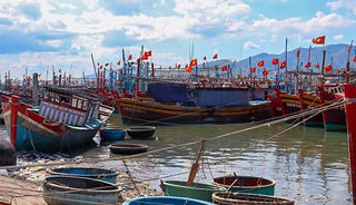 Xót xa cảnh hàng trăm tàu cá tại Quảng Bình ‘mắc cạn’ do ra khơi thua lỗ