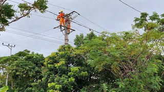 Hạn chế thấp nhất ảnh hưởng về điện khi thi công đường dây 500kV mạch 3 Quảng Trạch - Dốc Sỏi 