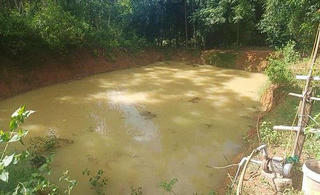 Hiểm họa đuối nước từ những ao cá gia đình không rào chắn