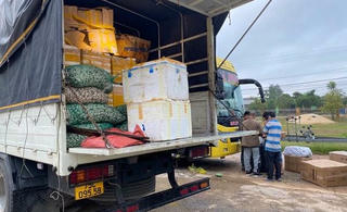 Liên tục phát hiện 4 xe chở hàng ‘lậu’ đi qua Quảng Bình trong đầu tháng 11