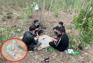 Bắt quả tang các ‘con bạc’ say sưa sát phạt trong đêm giữa rừng tràm