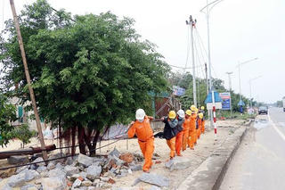 Đầu tư gần 125 tỷ đồng xây dựng, nâng cấp lưới điện ở Quảng Bình