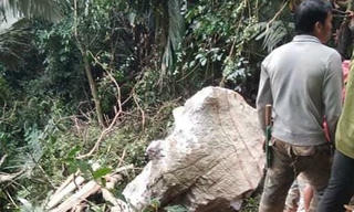 Đi tìm mật ong rừng, người đàn ông bị đá rơi đè tử vong thương tâm